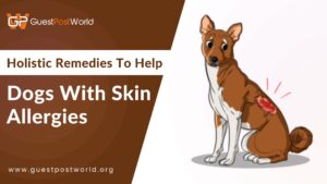 Holistic Remedies To Help Dogs With Skin Allergies